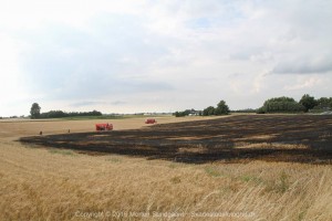 IMG 7931 29-07-2016