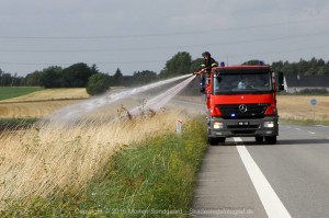 IMG 7975 29-07-2016