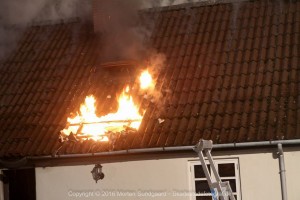 IMG 6561 22-07-2016