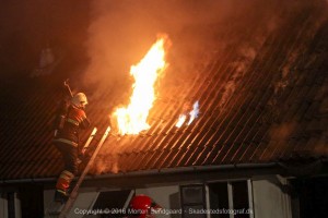 IMG 6574 22-07-2016