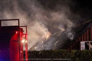 IMG 6713 22-07-2016