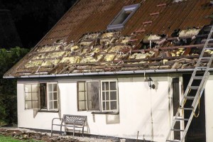 IMG 6745 22-07-2016