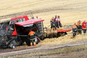 IMG 7104 23-07-2016