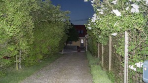  DSC8492