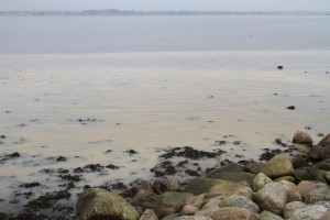 IMG_7850_10-03-2016 