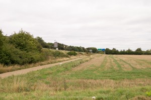  DSC0375