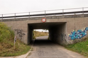  DSC0376