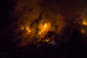  DSC9944