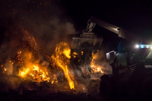  DSC9967