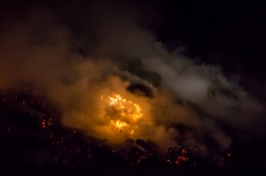  DSC9973