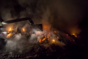  DSC9995