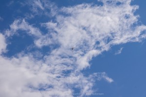  DSC0305
