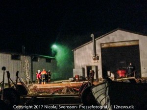 IMG 0950-2