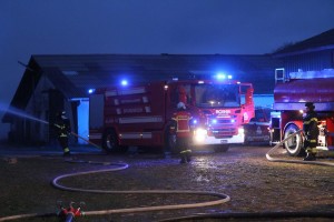 IMG 7004 17-04-2017