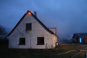 IMG 7009 17-04-2017