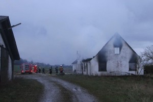 IMG 7050 17-04-2017