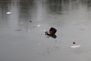 IMG 3084 08-01-2017