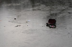 IMG 3089 08-01-2017