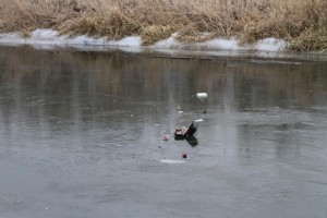 IMG 3094 08-01-2017