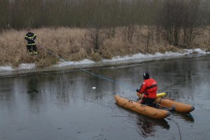 IMG 3175 08-01-2017