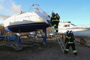 IMG 5290 12-03-2017