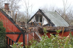 IMG 5551 19-03-2017