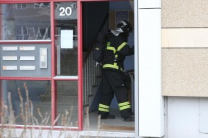 IMG 4917 05-03-2017