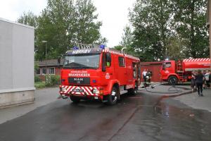 IMG 2654 12-06-2017