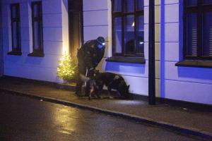 2018-12-15-rolighedsstraede-006-foto-rolf-larsen