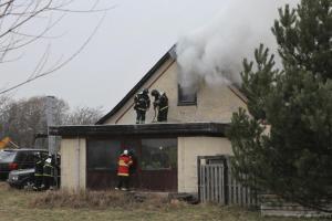 IMG 1115 14-02-2019