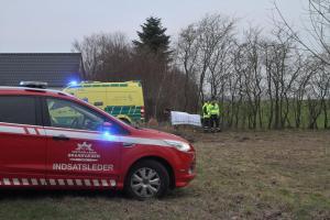 IMG 1121 14-02-2019