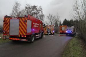 IMG 1150 14-02-2019