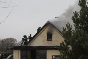 IMG 1179 14-02-2019